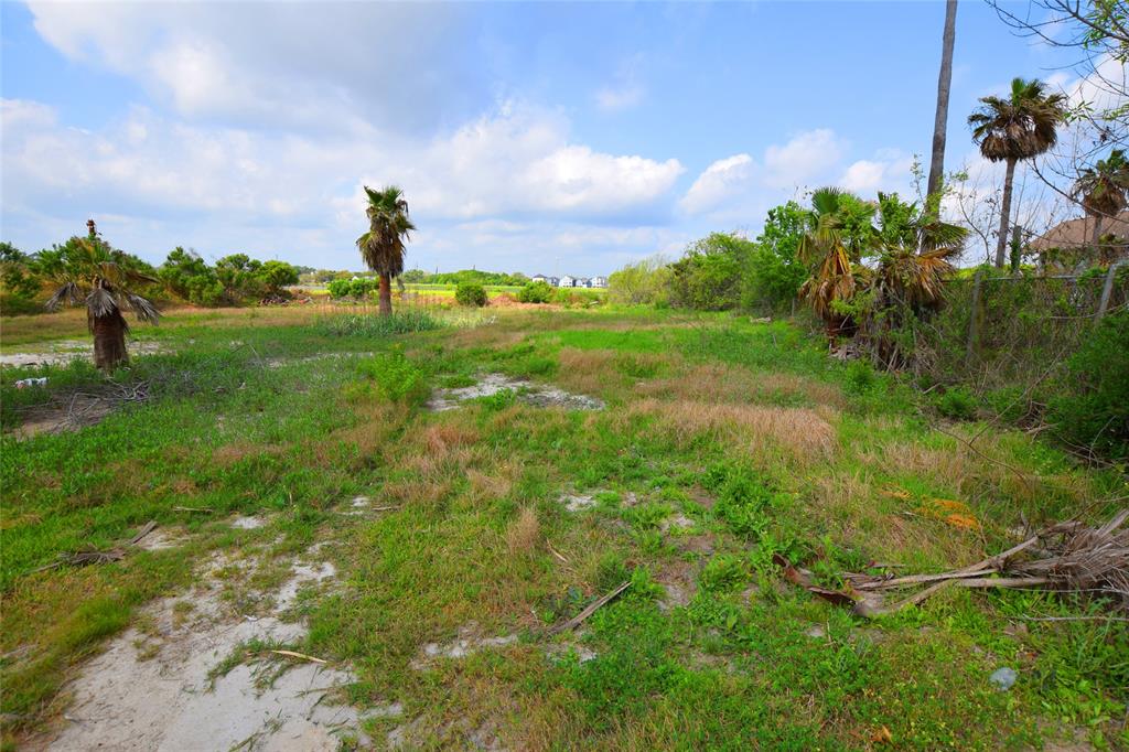 000 Todville Road, Seabrook, Texas image 6