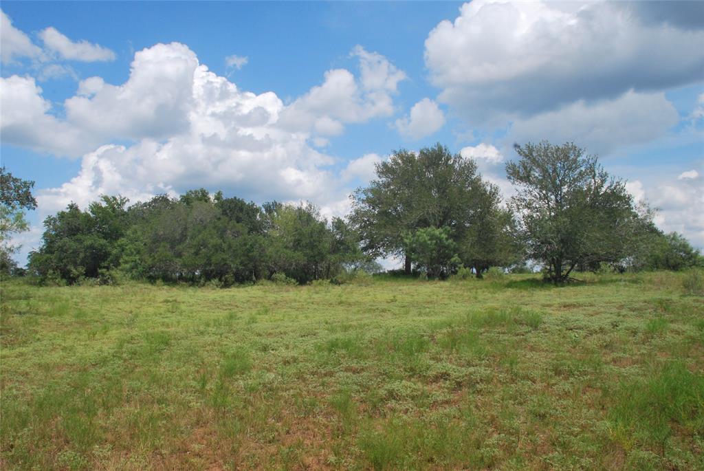 TBD N State Highway 95, Flatonia, Texas image 12