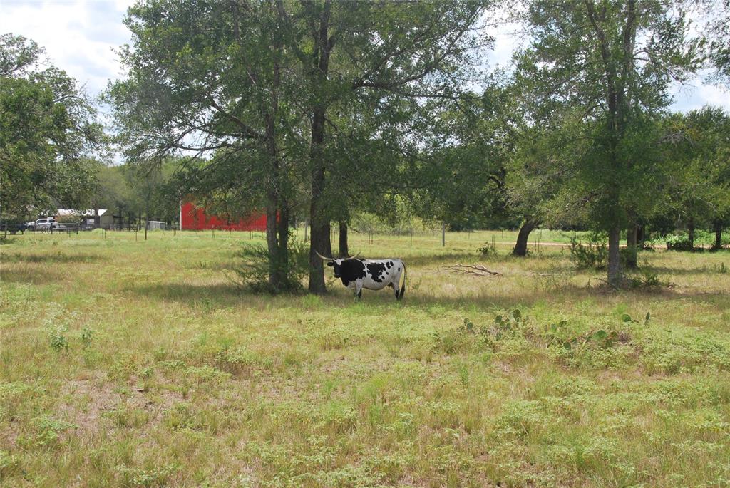 TBD N State Highway 95, Flatonia, Texas image 21