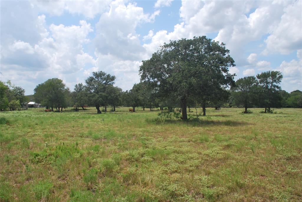 TBD N State Highway 95, Flatonia, Texas image 6