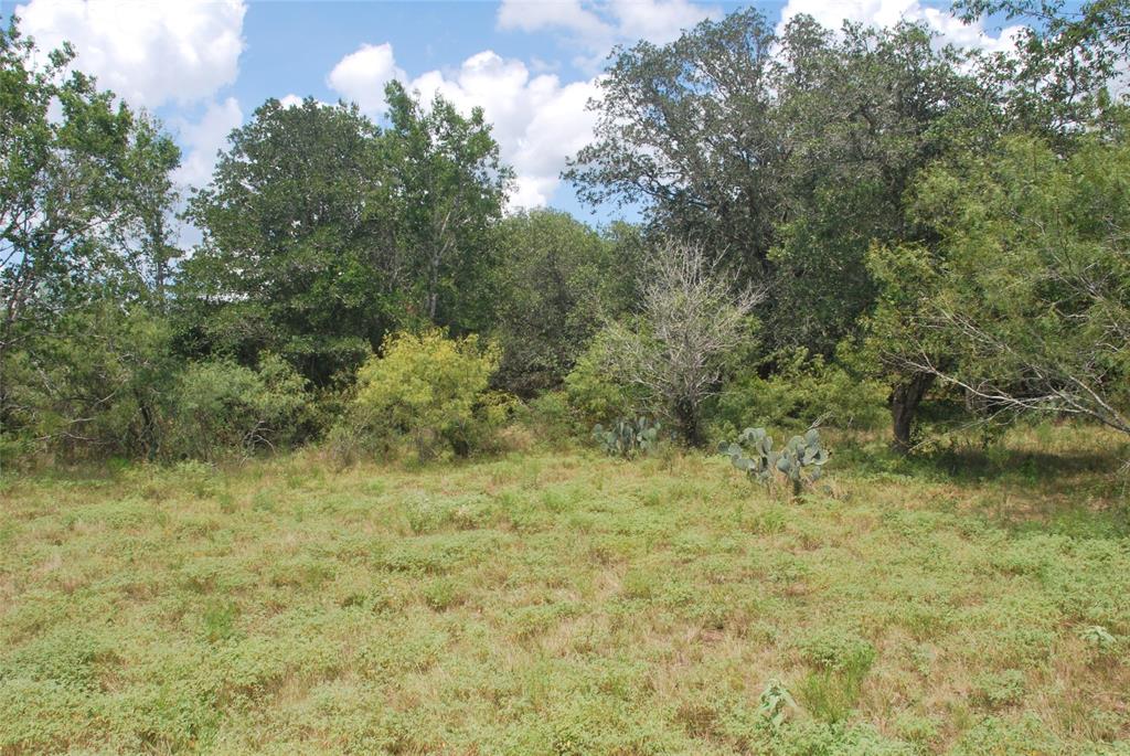 TBD N State Highway 95, Flatonia, Texas image 19