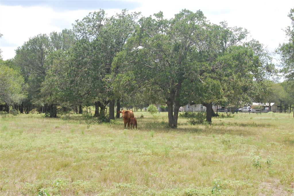 TBD N State Highway 95, Flatonia, Texas image 13