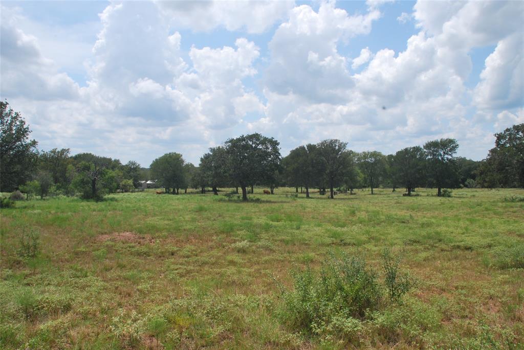 TBD N State Highway 95, Flatonia, Texas image 20