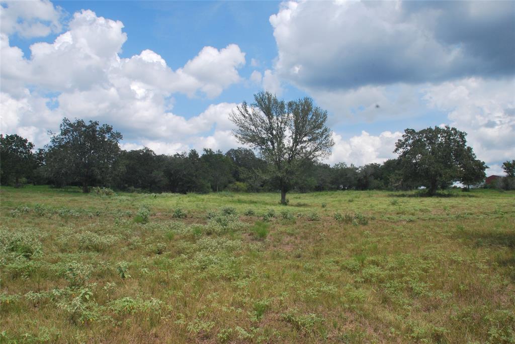 TBD N State Highway 95, Flatonia, Texas image 15