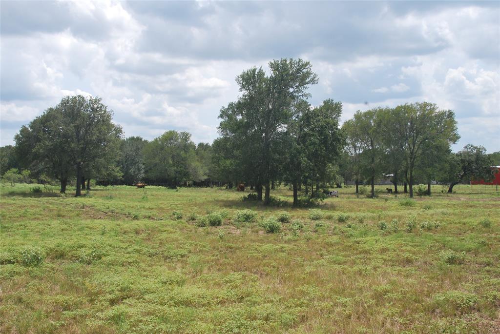 TBD N State Highway 95, Flatonia, Texas image 11