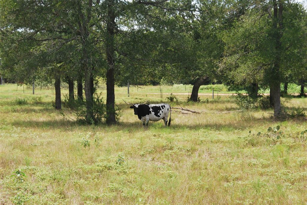 TBD N State Highway 95, Flatonia, Texas image 8