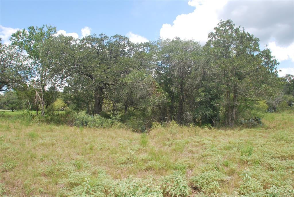 TBD N State Highway 95, Flatonia, Texas image 17