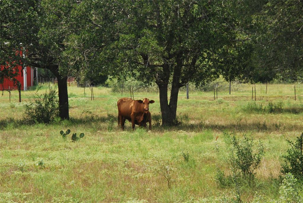 TBD N State Highway 95, Flatonia, Texas image 7