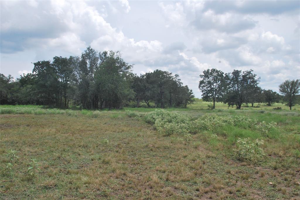 TBD N State Highway 95, Flatonia, Texas image 16