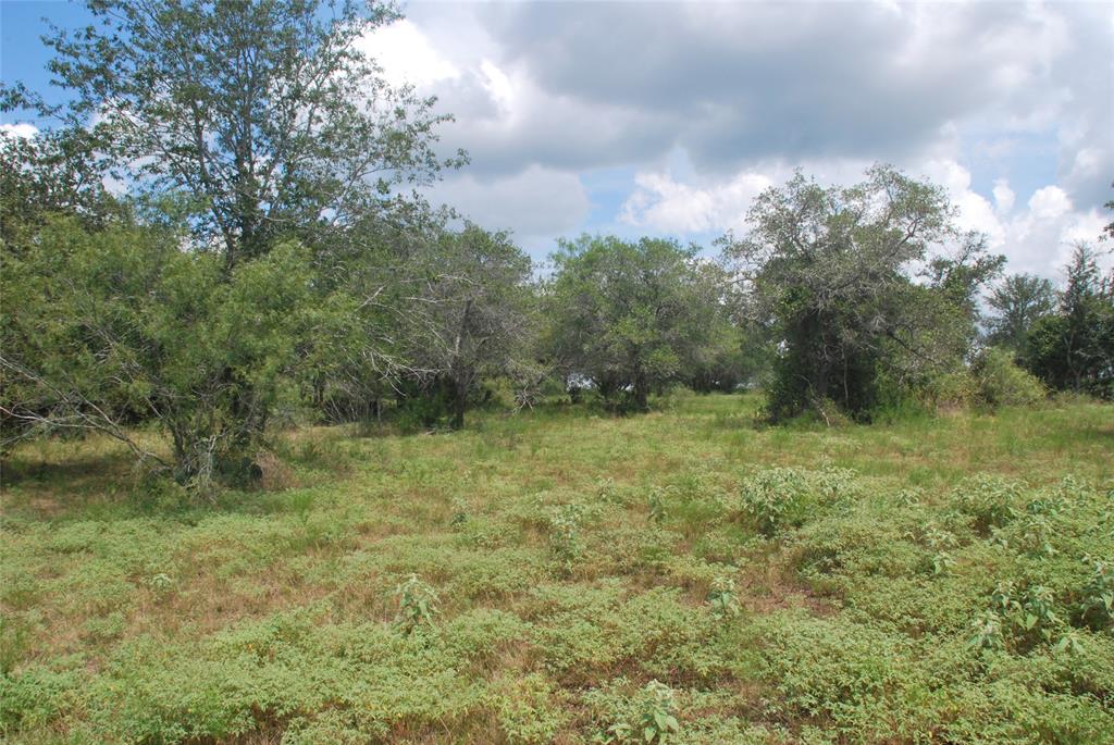 TBD N State Highway 95, Flatonia, Texas image 18