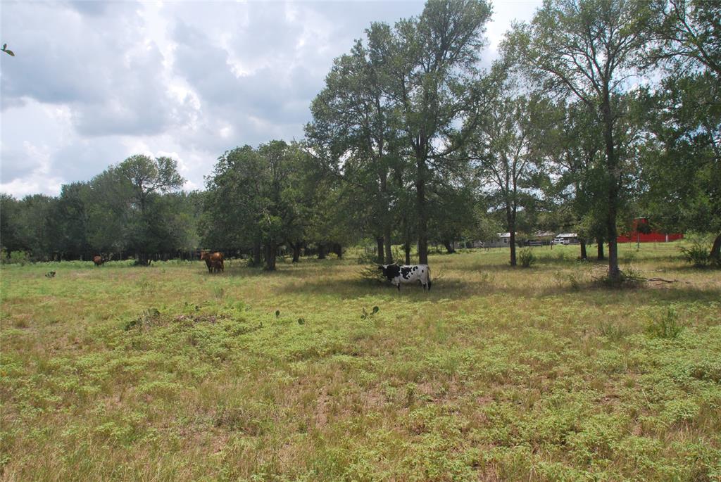 TBD N State Highway 95, Flatonia, Texas image 14