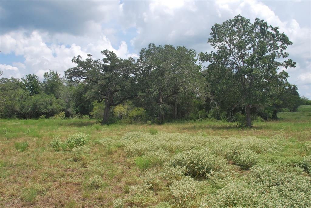 TBD N State Highway 95, Flatonia, Texas image 10