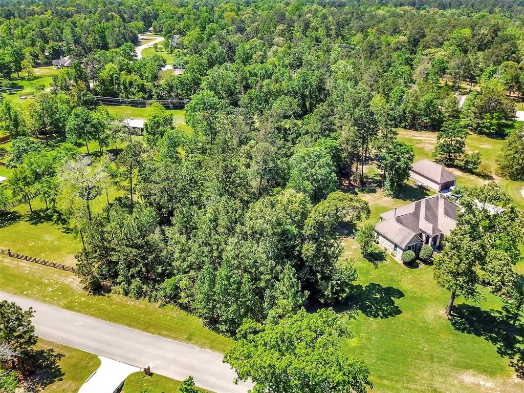 132 Port Au Prince Court, Montgomery, Texas image 4