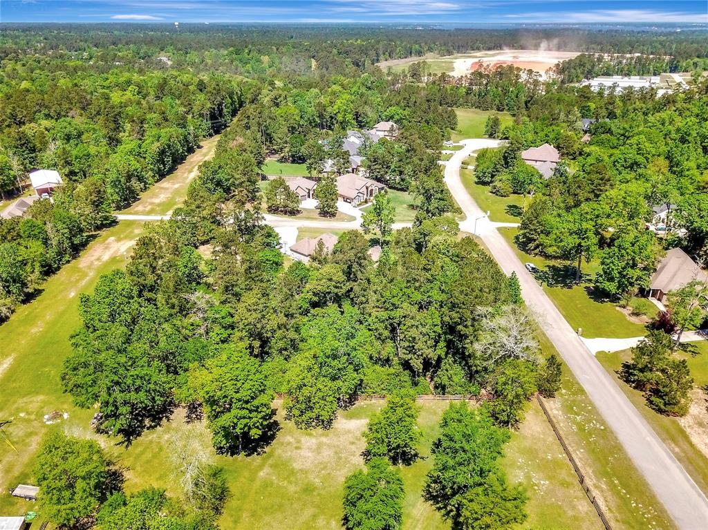 132 Port Au Prince Court, Montgomery, Texas image 2
