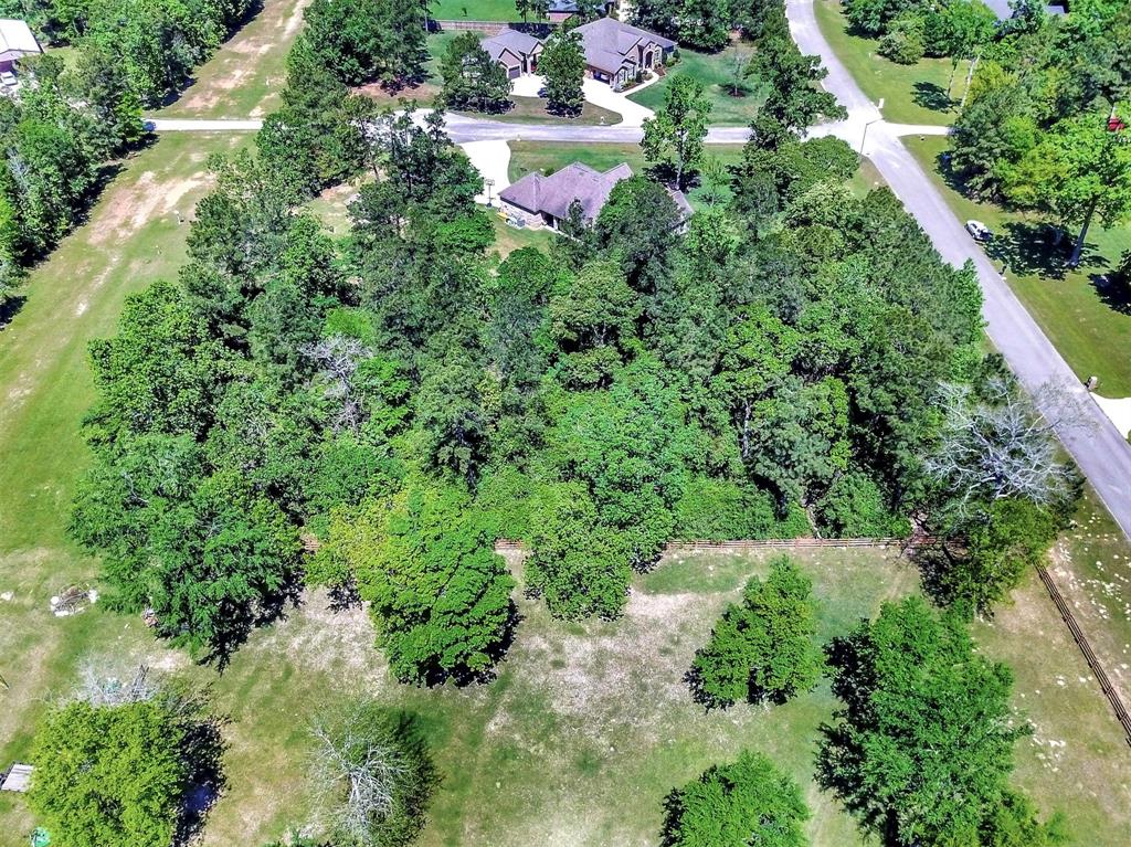 132 Port Au Prince Court, Montgomery, Texas image 3