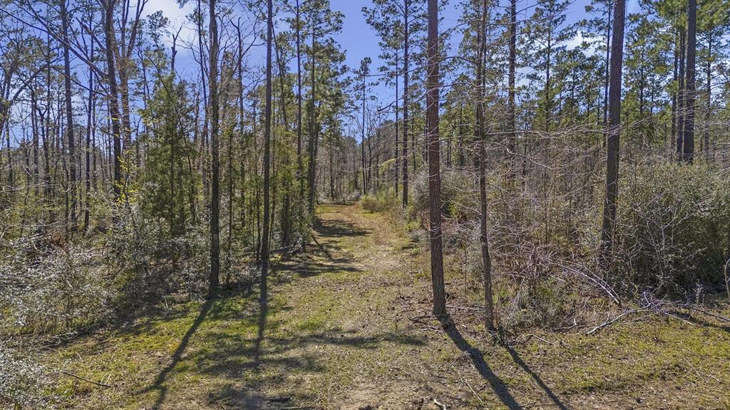 TBD Cr-780, Douglass, Texas image 12