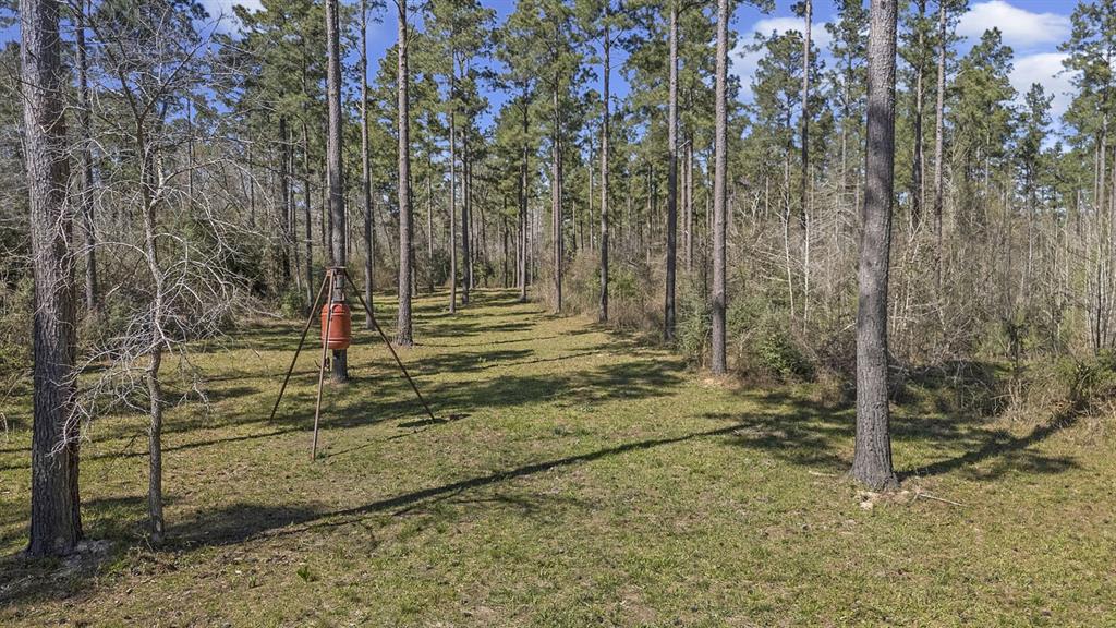 TBD Cr-780, Douglass, Texas image 14