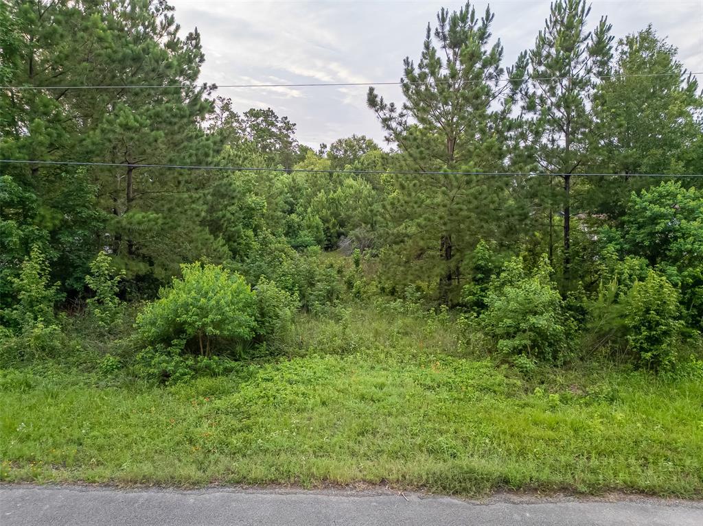 19329 Elbe Drive, Porter, Texas image 5