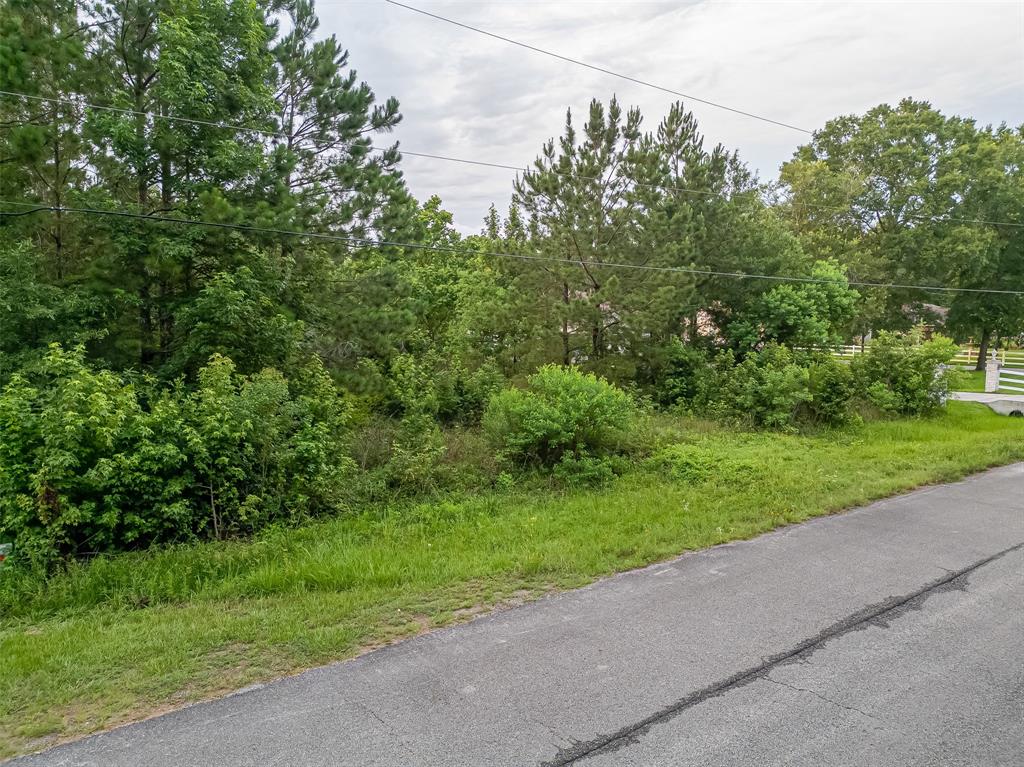 19329 Elbe Drive, Porter, Texas image 6