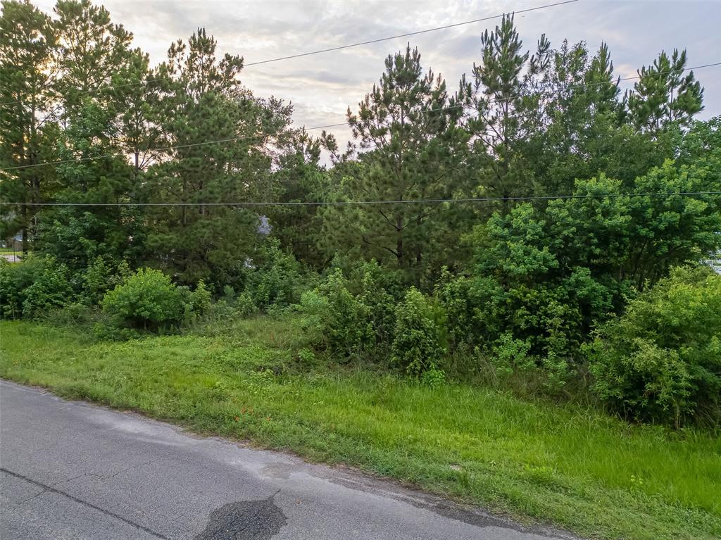 19329 Elbe Drive, Porter, Texas image 4