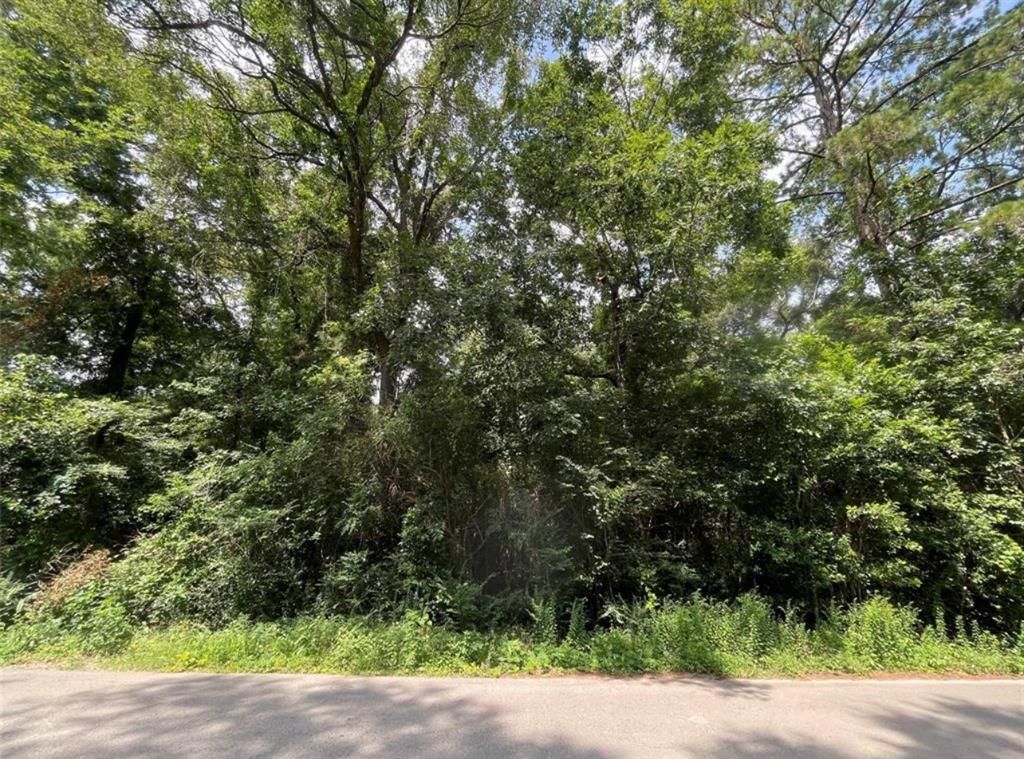 Photo of 181 Maple Lane, Woodbranch, TX 77357 (MLS # 61264937)