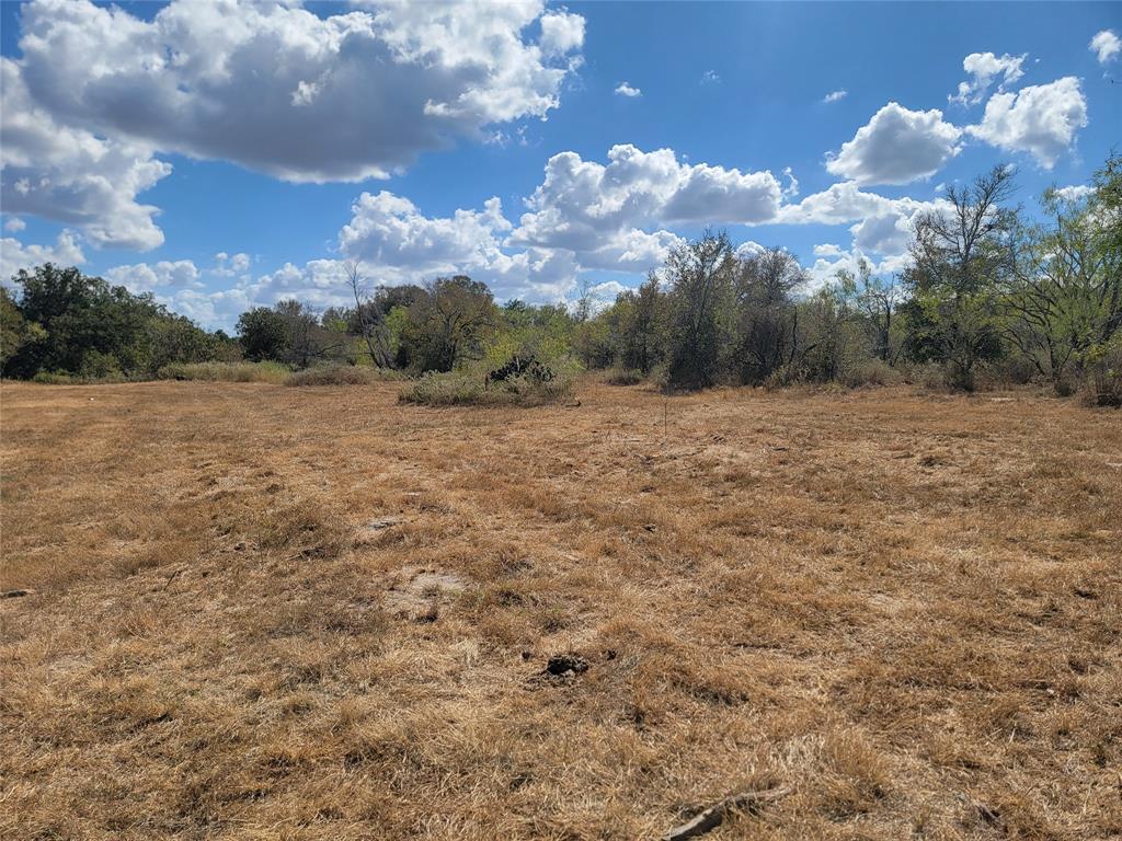 2937 Cr 420, Waelder, Texas image 1