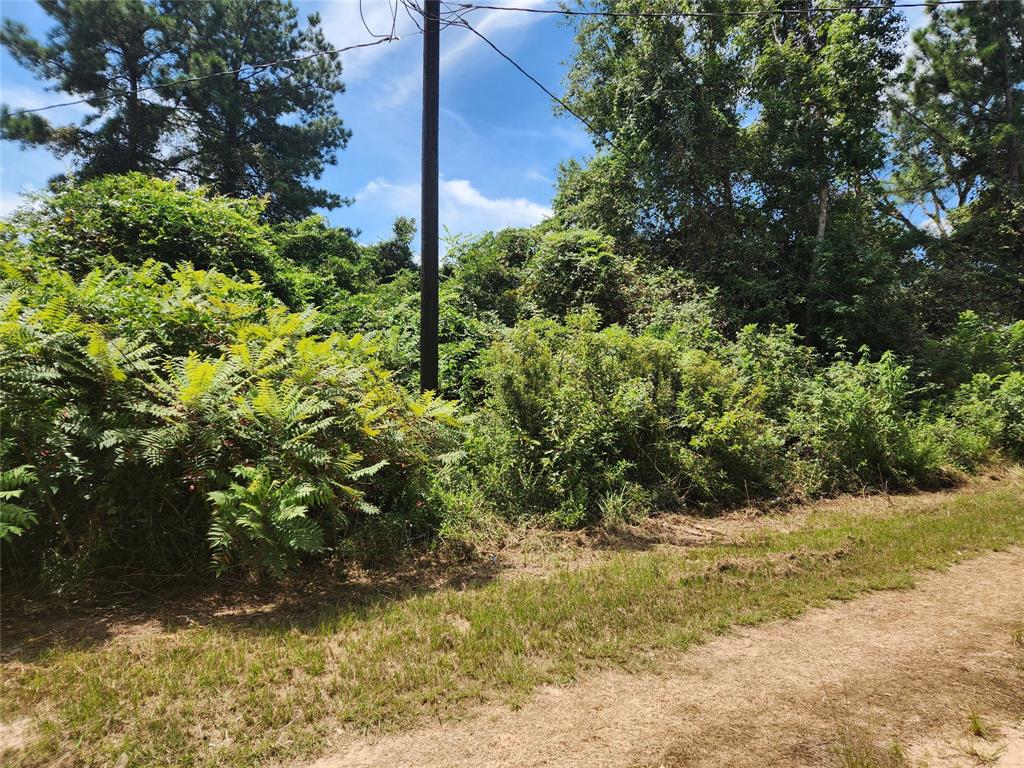 Lot 27 Mayhaw Lane, Plantersville, Texas image 3