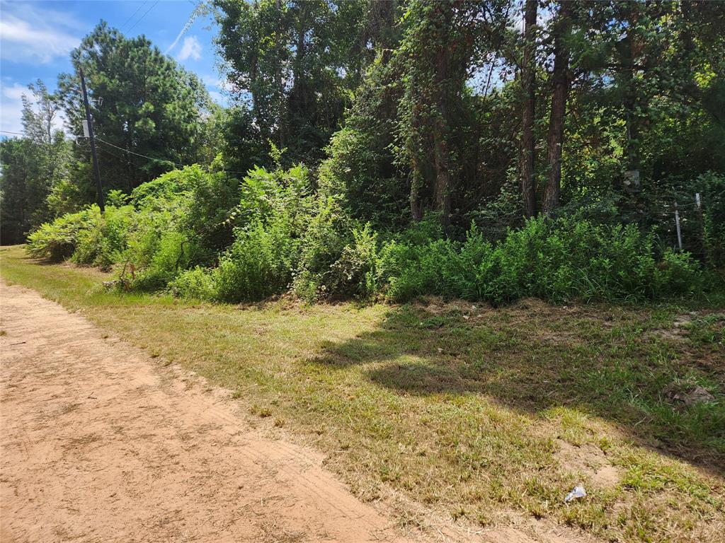 Lot 27 Mayhaw Lane, Plantersville, Texas image 11