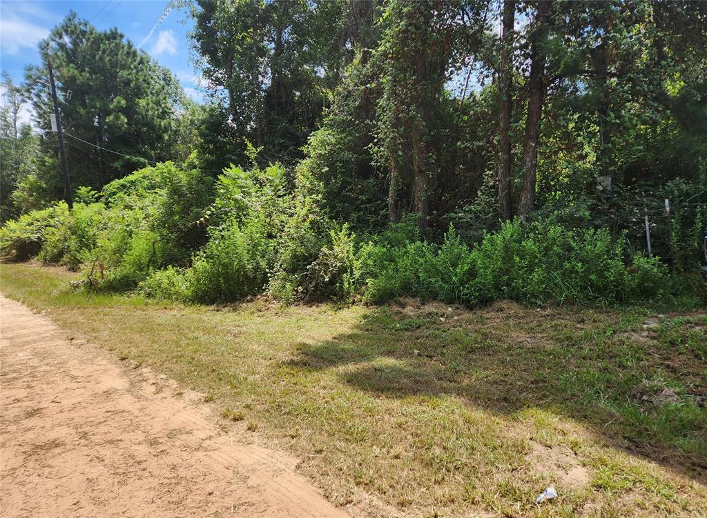 Lot 27 Mayhaw Lane, Plantersville, Texas image 12