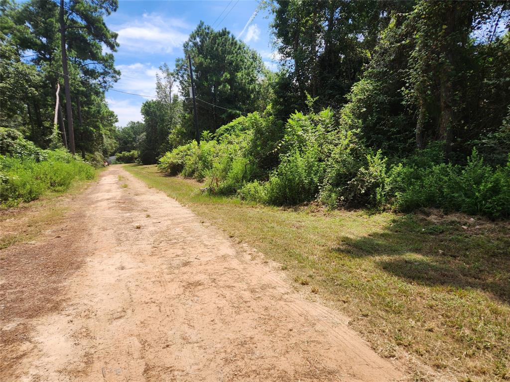 Lot 27 Mayhaw Lane, Plantersville, Texas image 10