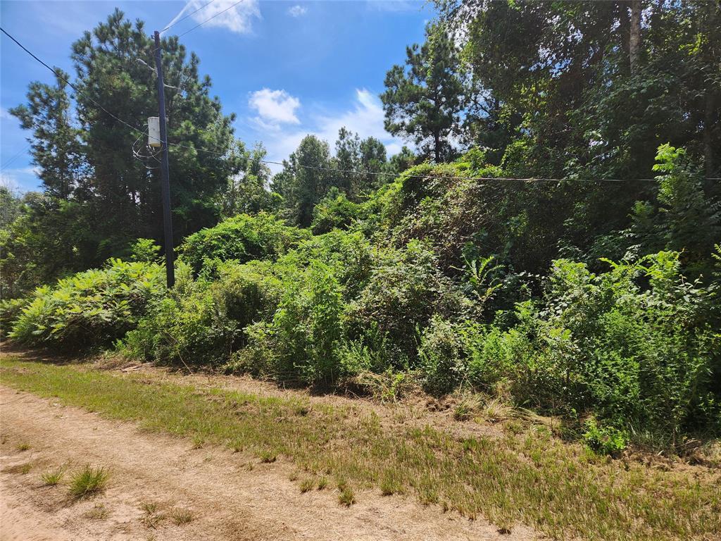 Lot 27 Mayhaw Lane, Plantersville, Texas image 1