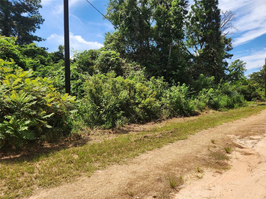 Lot 27 Mayhaw Lane, Plantersville, Texas image 2