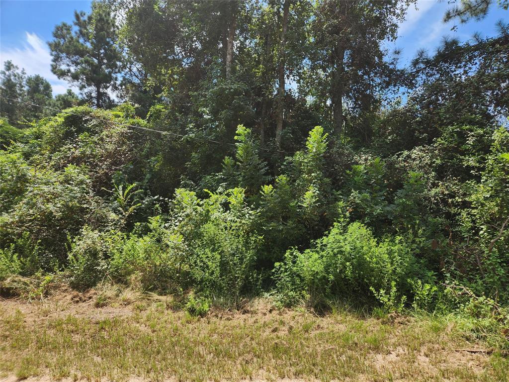 Lot 27 Mayhaw Lane, Plantersville, Texas image 9