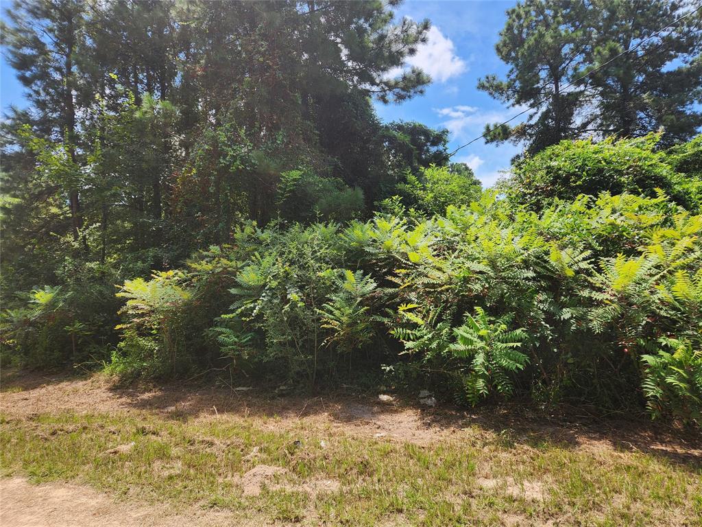 Lot 27 Mayhaw Lane, Plantersville, Texas image 5