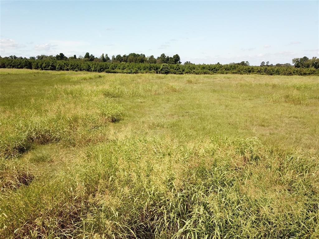 00 State Hwy 7, Nacogdoches, Texas image 35