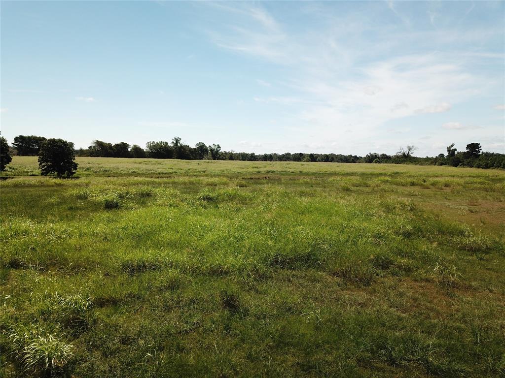 00 State Hwy 7, Nacogdoches, Texas image 14