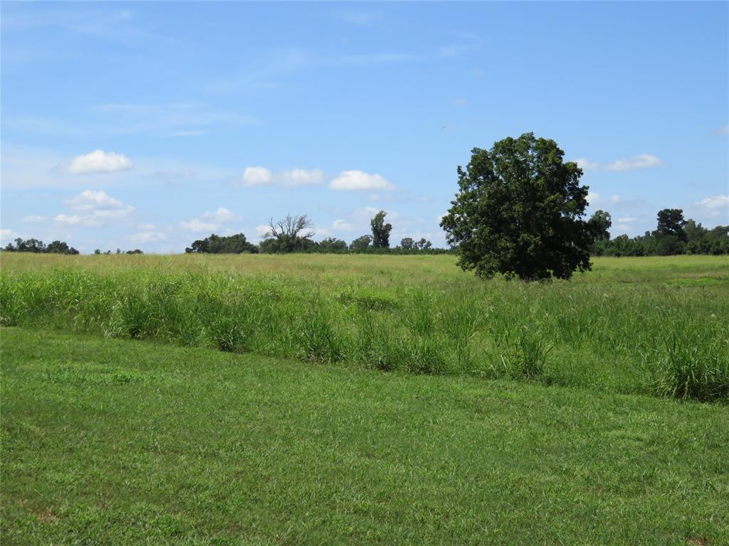 00 State Hwy 7, Nacogdoches, Texas image 37