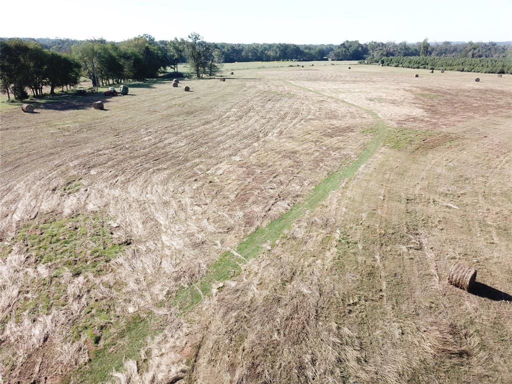 00 State Hwy 7, Nacogdoches, Texas image 6