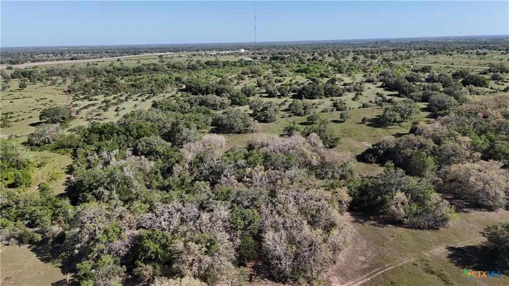 11610 E State Hwy 111, Yoakum, Texas image 6