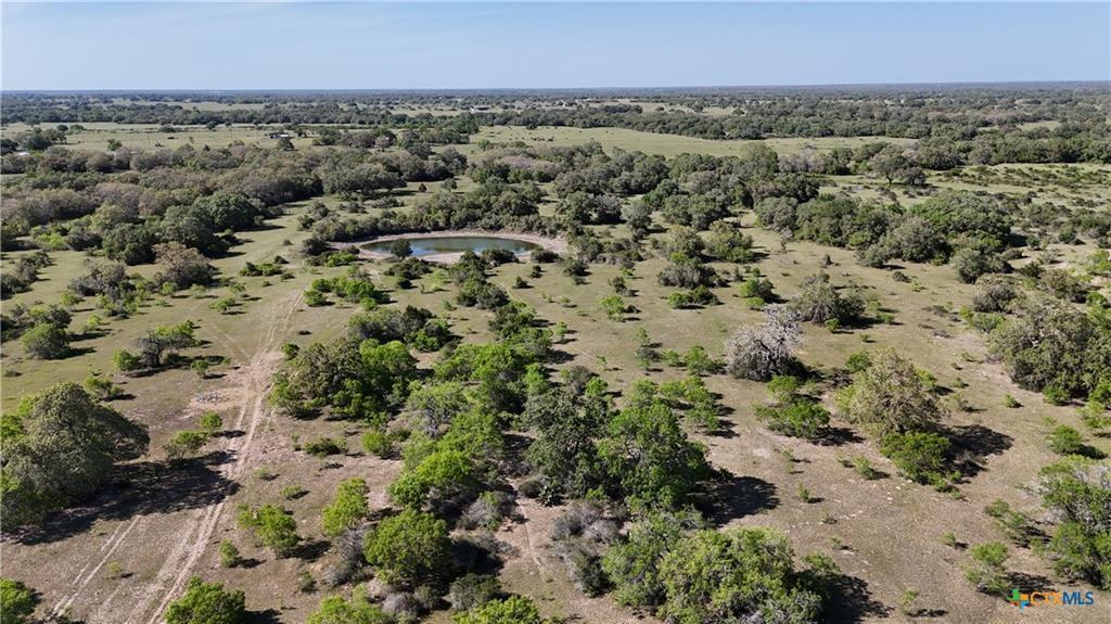 11610 E State Hwy 111, Yoakum, Texas image 3