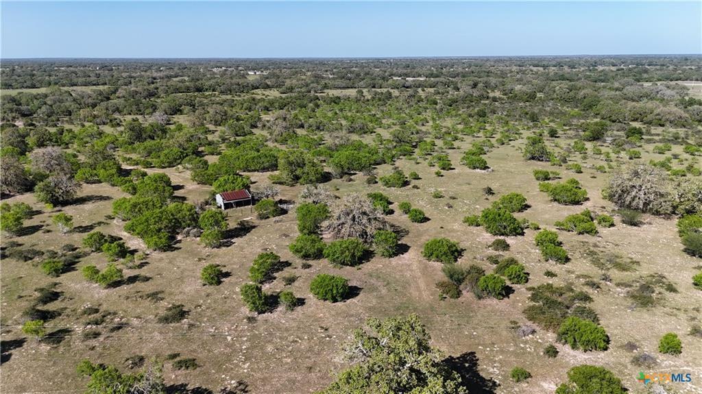 11610 E State Hwy 111, Yoakum, Texas image 2