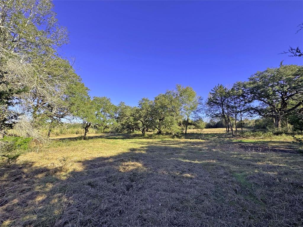 1A Hoppers Lane, Brenham, Texas image 14