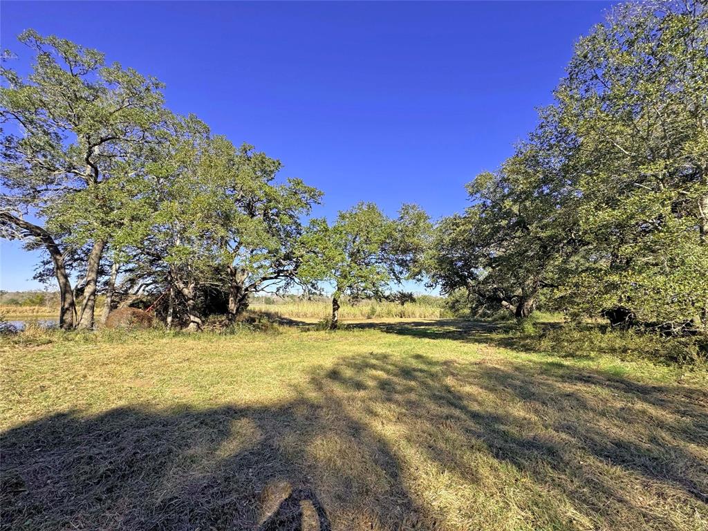 1A Hoppers Lane, Brenham, Texas image 16