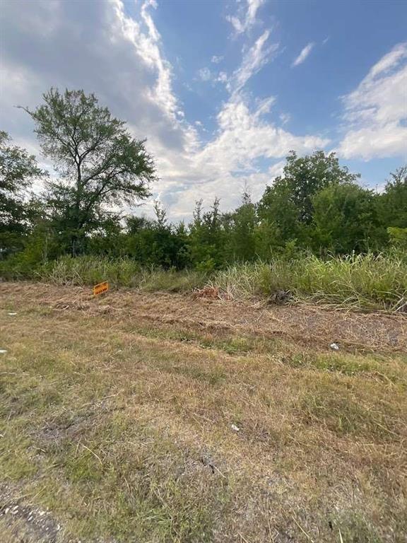 Roosevelt Lot 15, Navasota, Texas image 2