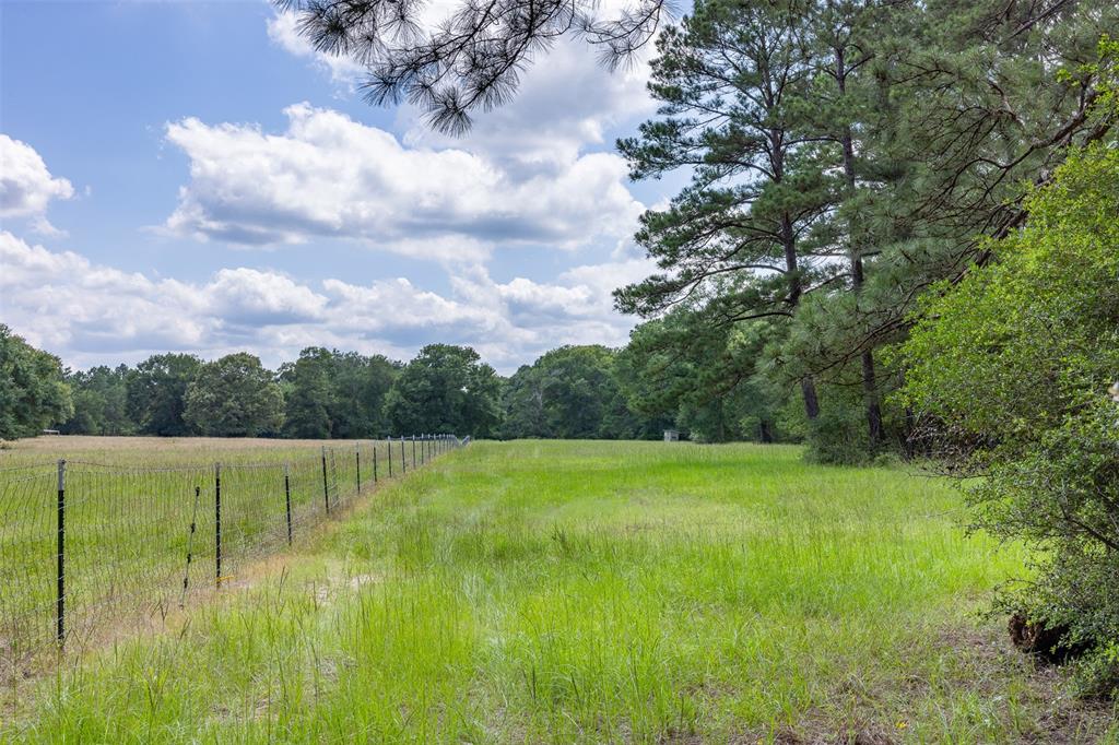 200+/- AC Fm-2620, Bedias, Texas image 33