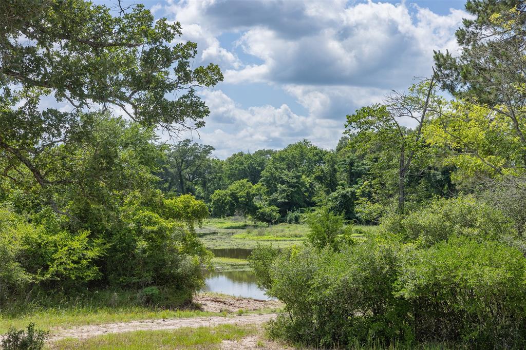 200+/- AC Fm-2620, Bedias, Texas image 39