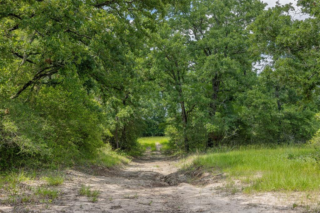 200+/- AC Fm-2620, Bedias, Texas image 32