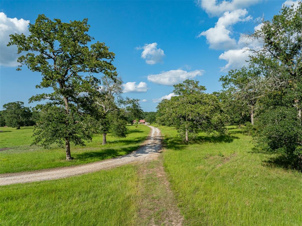 200+/- AC Fm-2620, Bedias, Texas image 41