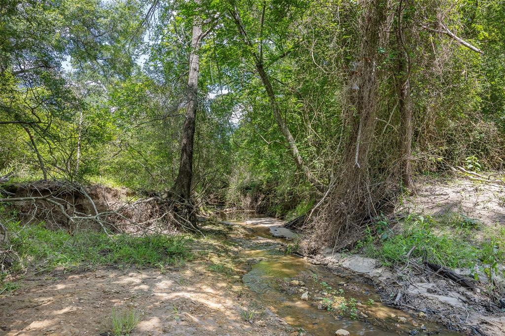 200+/- AC Fm-2620, Bedias, Texas image 29