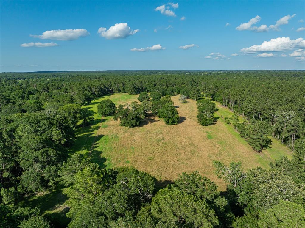 200+/- AC Fm-2620, Bedias, Texas image 46